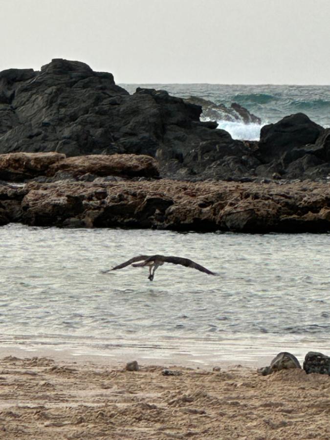 B&B Mi Ma Bo, Sal Rei, Boa Vista, Cape Verde, Free Wi-Fi 외부 사진