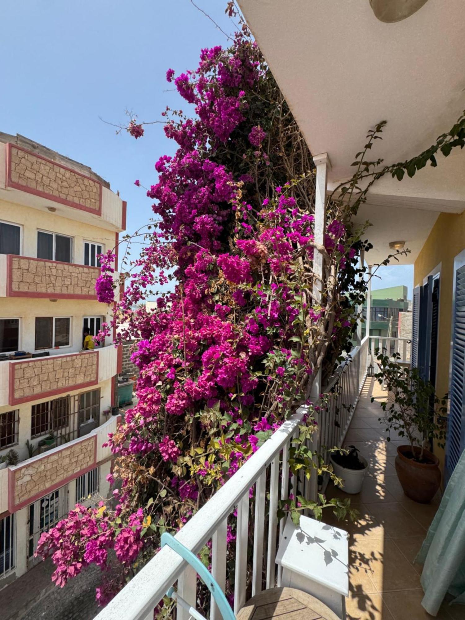 B&B Mi Ma Bo, Sal Rei, Boa Vista, Cape Verde, Free Wi-Fi 외부 사진